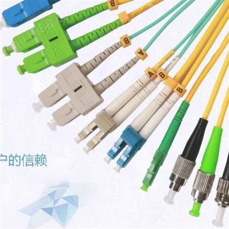 深圳光纤系统公司直销 光纤跳线 双芯多模光纤跳线 品牌厂家 品质保障