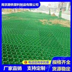 厂家供应高强植草格环境网格 土工格室边坡固定植草格 按需定制 应用广泛