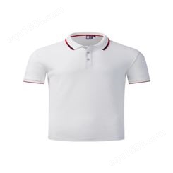 2021夏季新品男士短袖t恤衫纯色 透气滑爽冰丝半袖 薄款商务polo衫